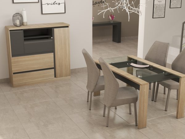 Bahiut Dymanic Camellia gris